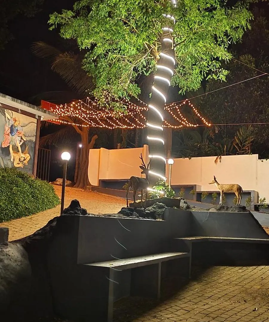 Warmlite Resort Meppadi